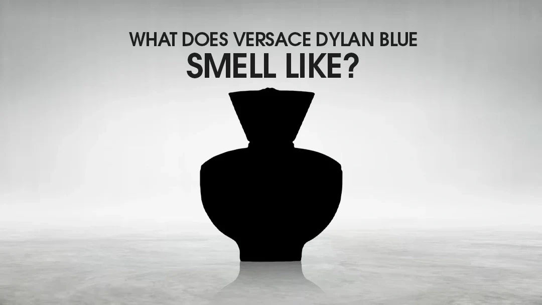 what does versace dylan blue smell like