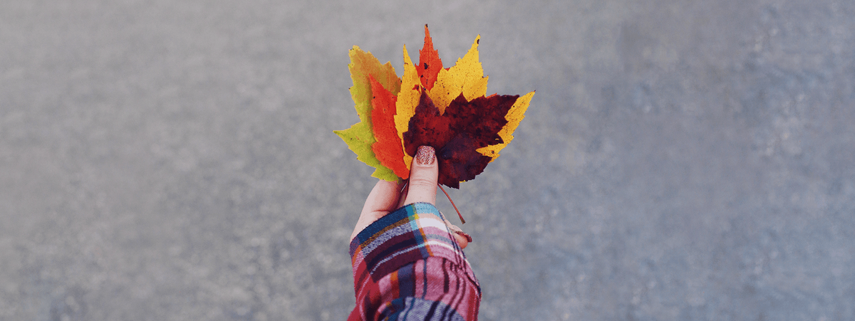 How Scents Affect Your Mood | Detailed Guide by Scent N Stories