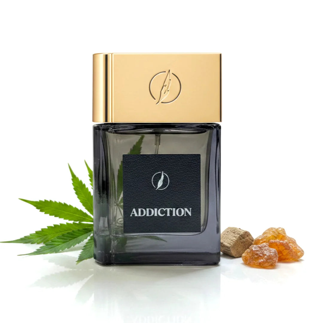 Addiction - Long Lasting Perfume For Men in Pakistan