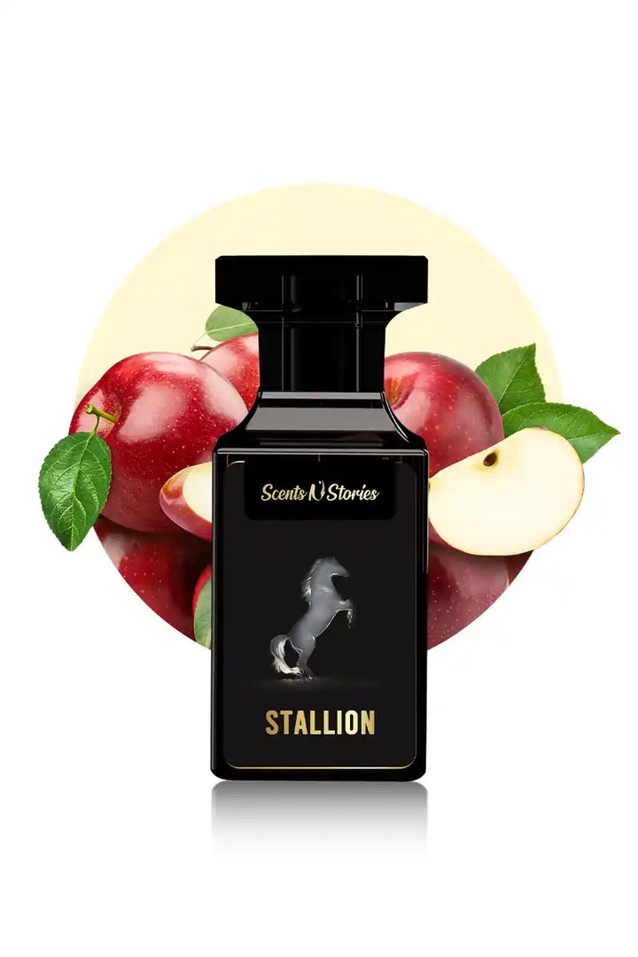 stallion y by ysl perfume